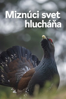 Miznúci svet hlucháňa