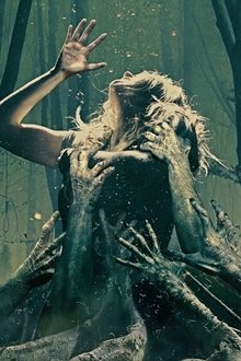 The-Forest