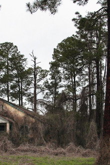 Deadly Secrets: The Lost Children of Dozier