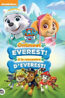 Paw Patrol - Ontmoet Everest