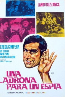 Una ladrona para un espía