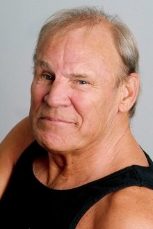 Photo of Don Stroud