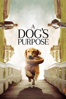A Dog’s Purpose A Dog’s Purpose