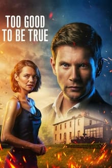 Too Good to Be True tv show poster