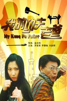 我的功夫老爸