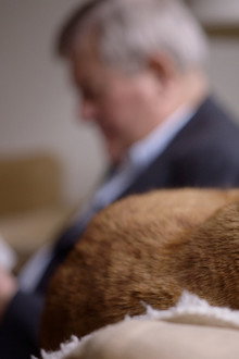 Cat Stories