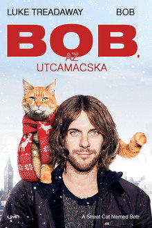 Bob, az utcamacska