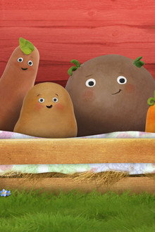 Meet the Small Potatoes