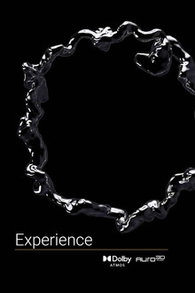 Experience