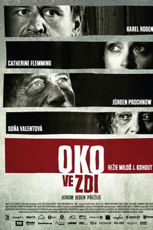 Oko ve zdi