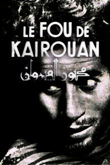 مجنون القيروان