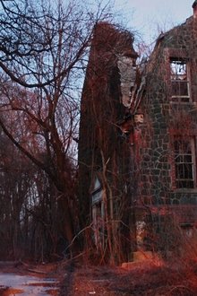 Cropsey
