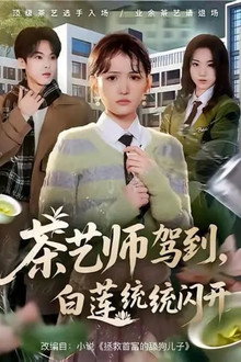 茶艺师驾到，白莲统统闪开
