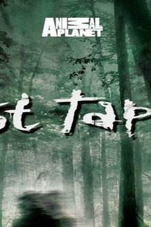 Lost Tapes