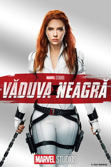Văduva Neagră