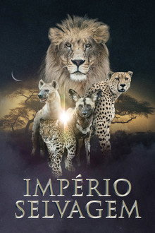 Temporada 4