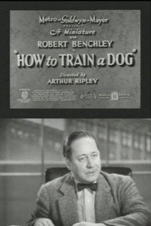 How to Train a Dog