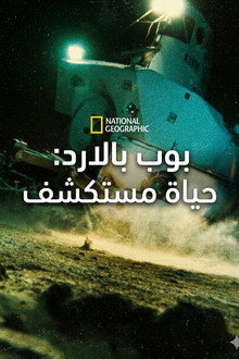 بوب بالادر: حياة مستكشف