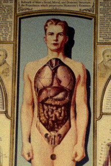 Natural History