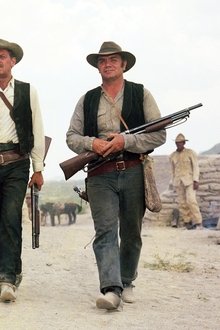 The-Wild-Bunch