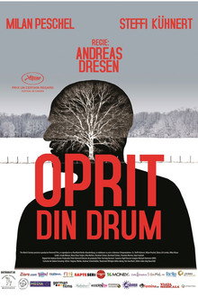 Oprit din drum