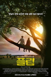 플립
