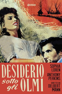 Desiderio sotto gli olmi