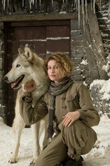 The Maiden and the Wolves