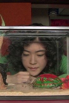 亀は意外と速く泳ぐ