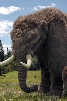 Ice-Age-Giants
