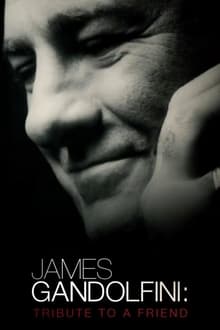 Poster do filme James Gandolfini: Tribute to a Friend