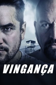 Poster do filme Vingança