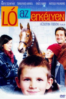 Ló az erkélyen