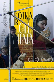 Кот в стене