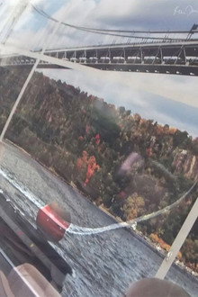 Foliage in Moving Car Window