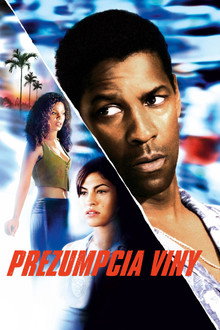 Prezumpcia viny