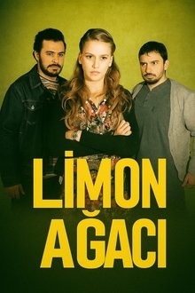Limon Ağacı