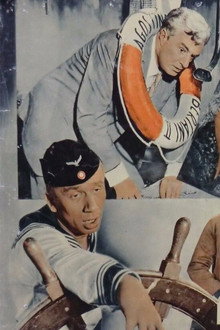 Pezzo, capopezzo e capitano