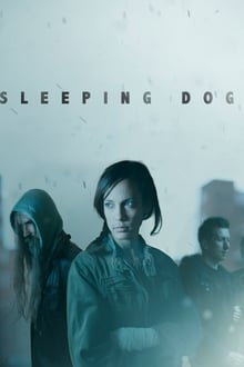 Poster do filme Sleeping Dogs