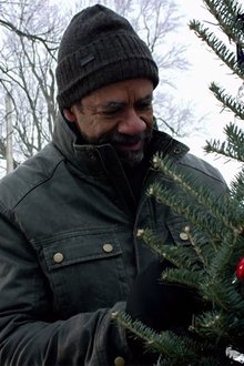The-Rooftop-Christmas-Tree