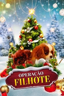 Poster do filme Operação Filhote