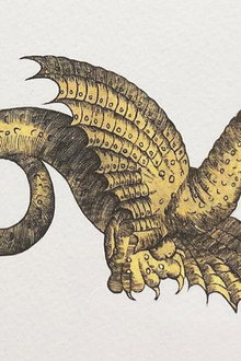 Draconis. La Storia del Drago di Rimini