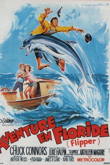 Flipper