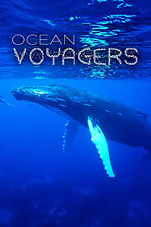 Poster do filme Ocean Voyagers