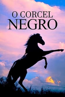 Poster do filme O Corcel Negro