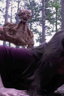 Monsters in the Woods