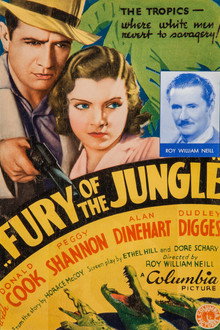 Fury of the Jungle