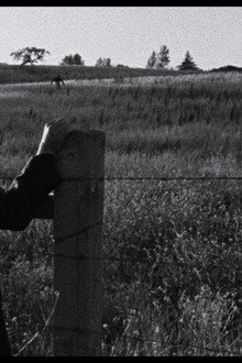 Faith of Our Fathers, a film by Hamilton Sterling