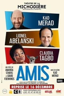 Poster do filme Amis