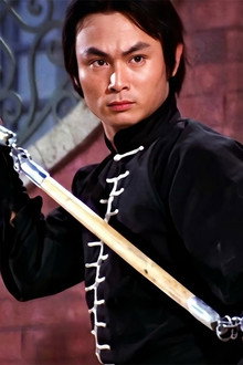Shaolin kontra Ninja